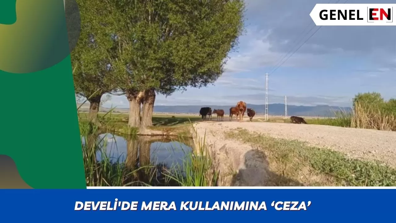 Develi'de mera kullanımına ‘ceza’