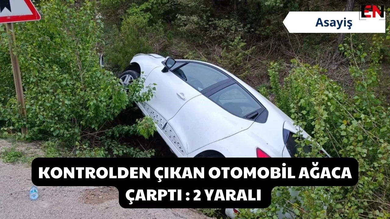 Kontrolden çıkan otomobil ağaca çarptı : 2 yaralı