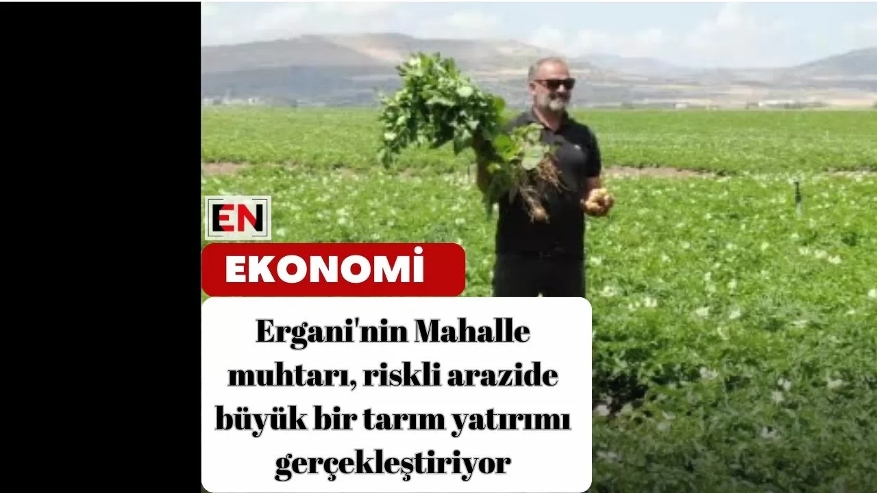 Ergani'nin Mahalle muhtarı, riskli arazide büyük bir tarım yatırımı gerçekleştiriyor
