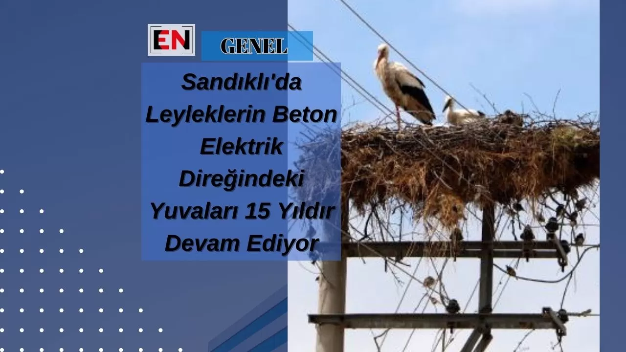 Sandıklı'da Leyleklerin Beton Elektrik Direğindeki Yuvaları 15 Yıldır Devam Ediyor