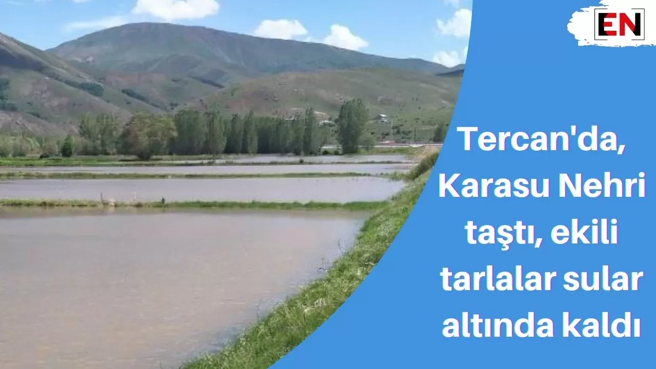 Tercan'da, Karasu Nehri taştı, ekili tarlalar sular altında kaldı