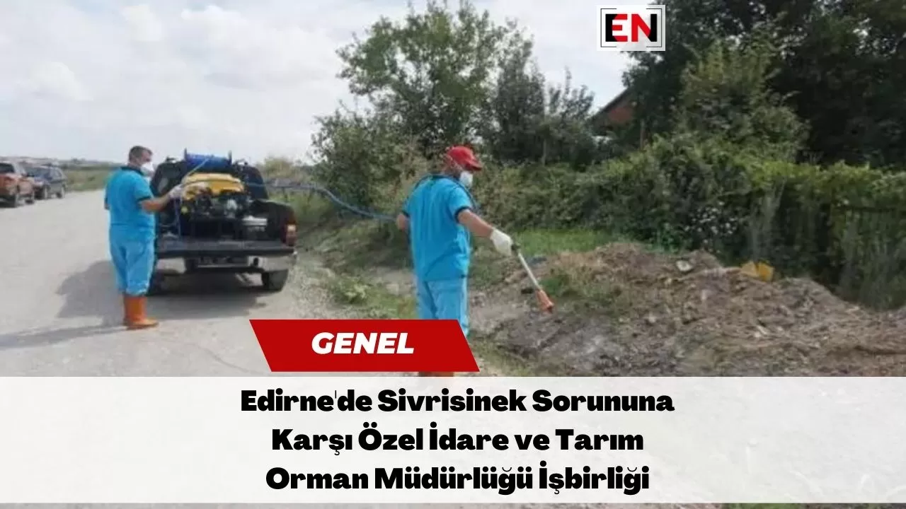 Edirne'de Sivrisinek Sorununa Karşı Özel İdare ve Tarım Orman Müdürlüğü İşbirliği