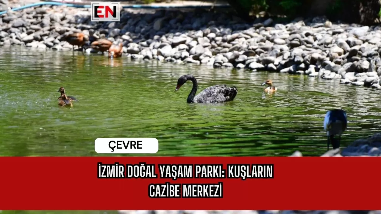 İzmir Doğal Yaşam Parkı: Kuşların Cazibe Merkezi