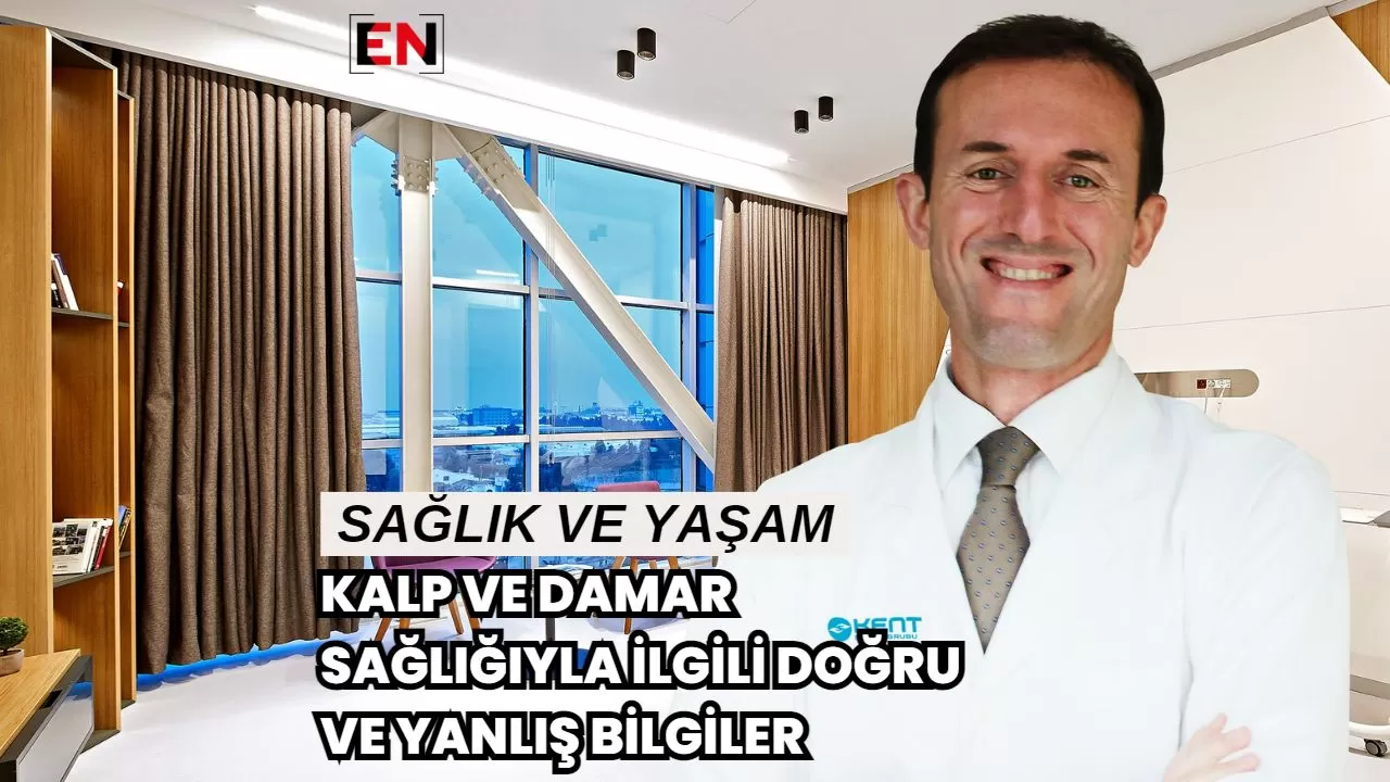 Kalp ve Damar Sağlığıyla İlgili Doğru ve Yanlış Bilgiler