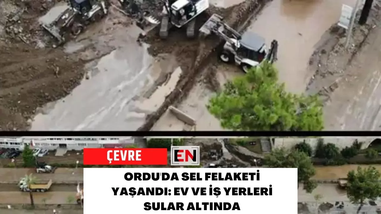 Ordu'da Sel Felaketi Yaşandı: Ev ve İş Yerleri Sular Altında