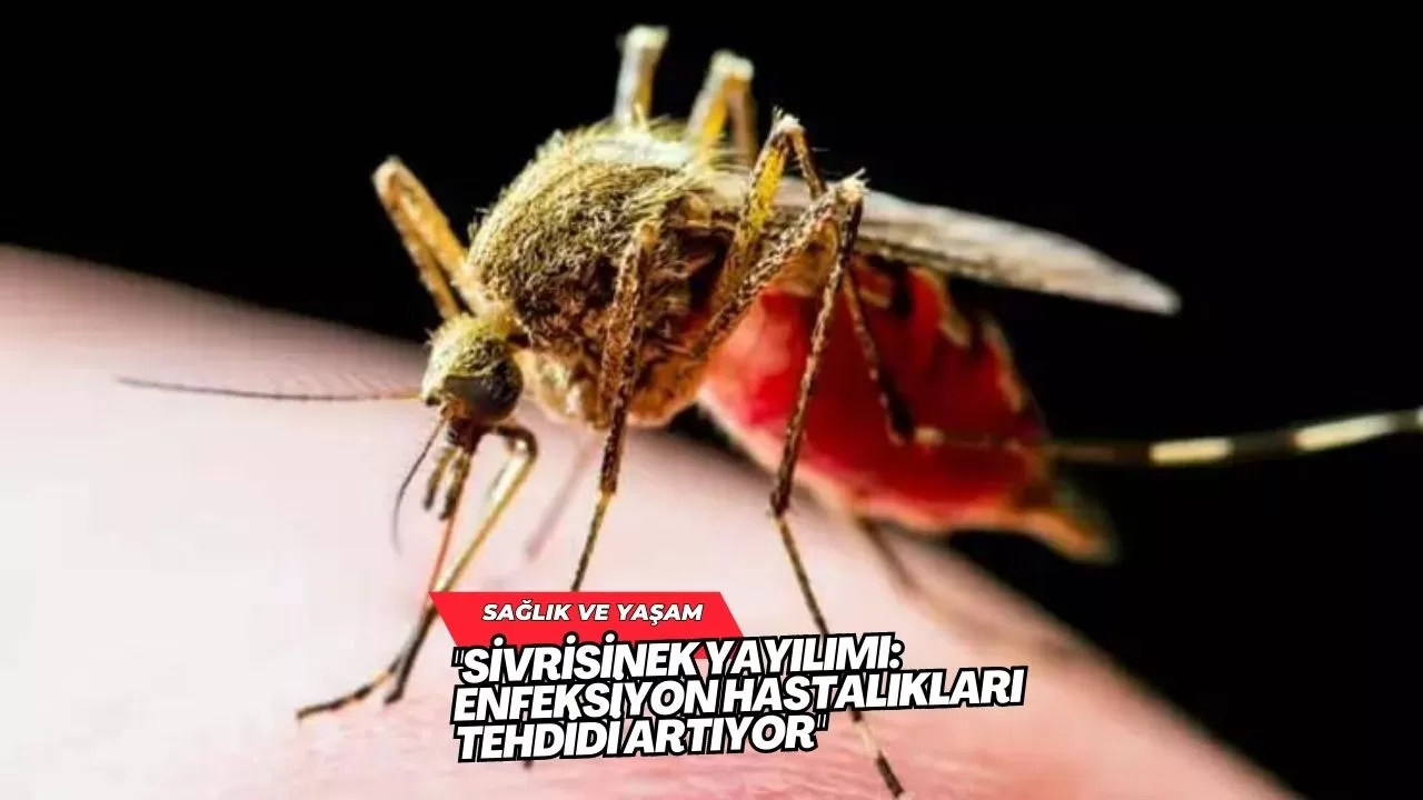 "Sivrisinek Yayılımı: Enfeksiyon Hastalıkları Tehdidi Artıyor"