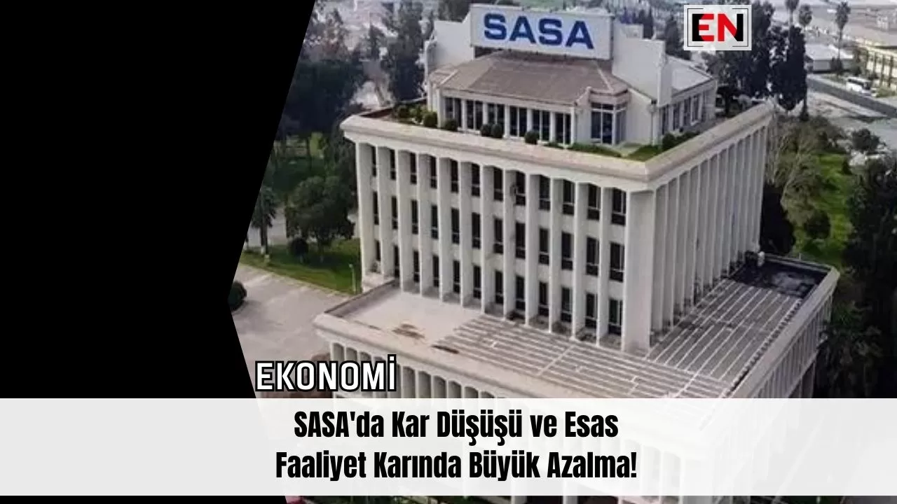 SASA'da Kar Düşüşü ve Esas Faaliyet Karında Büyük Azalma!