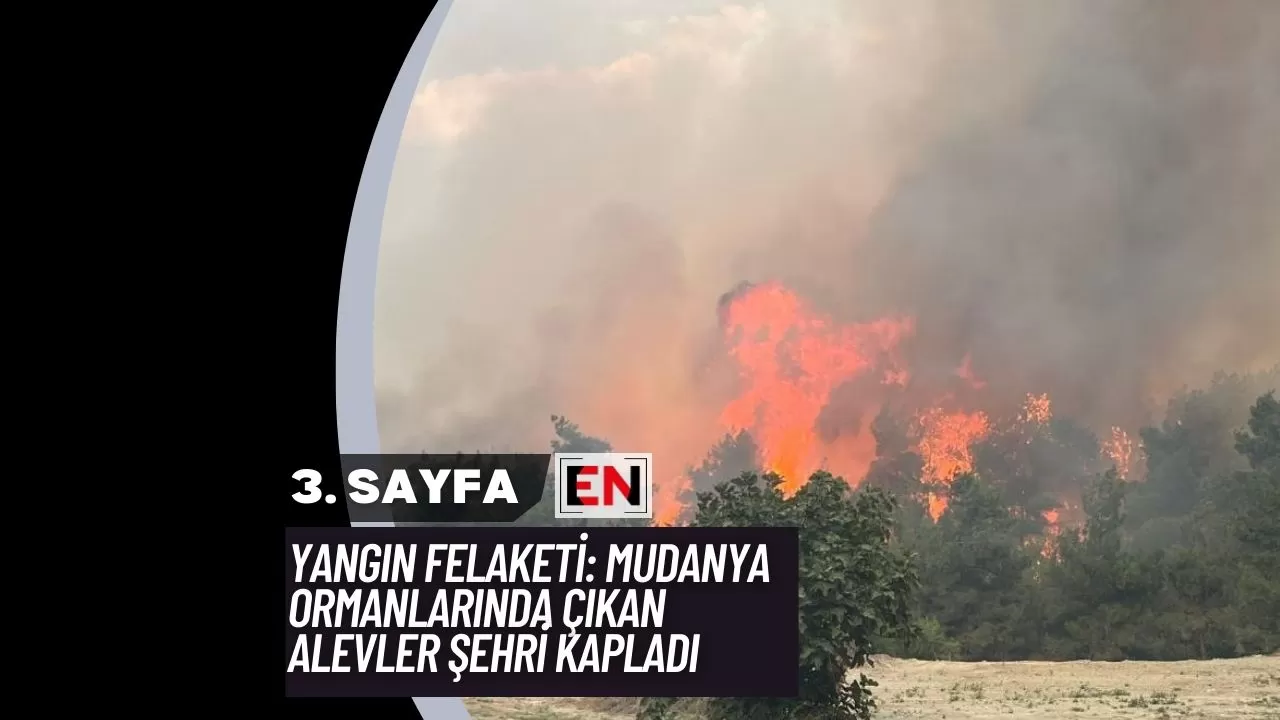 Yangın Felaketi: Mudanya Ormanlarında Çıkan Alevler Şehri Kapladı